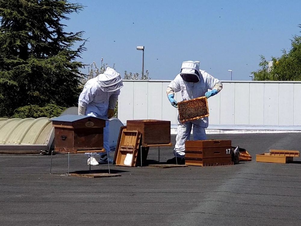 L’apiculteur est accompagné par un des collaborateurs de SIDE